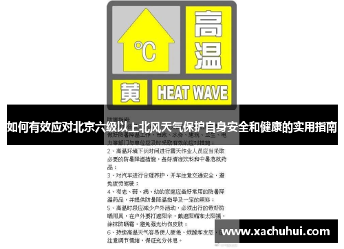 如何有效应对北京六级以上北风天气保护自身安全和健康的实用指南