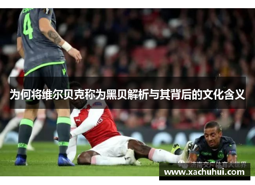 为何将维尔贝克称为黑贝解析与其背后的文化含义