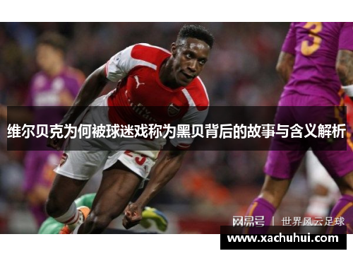 维尔贝克为何被球迷戏称为黑贝背后的故事与含义解析